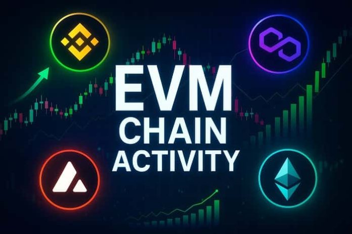 EVM chain activity EVM chain activity