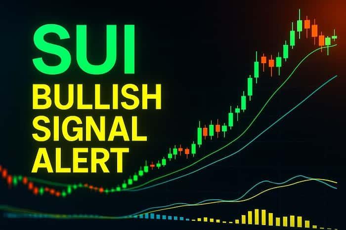 SUI bullish signal