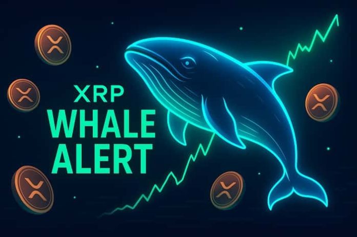XRP whale alert