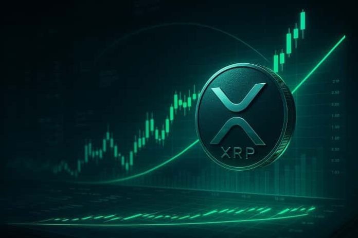 XRP Price Rebound
